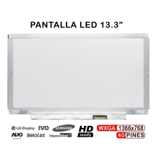 Display LED portatile da 13,3" N133BGE-L41