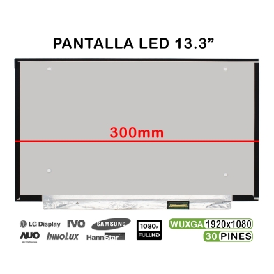 Schermo LED portatile da 13,3" N133HCE-EP2 REV.C1 Full HD 30 Pin