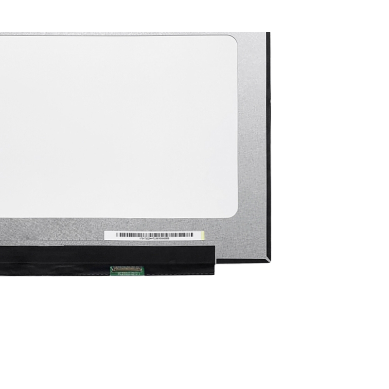 Display LED portatile da 17,3" | NV173FHM-N49