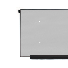 PANTALLA LED DE 17.3" PARA PORTÁTIL NE173FHM-NZ6 V8.0 360HZ FHD 40 PINES