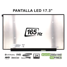 SCHERMO LED 17.3" PER COMPUTER PORTATILE NE173QHM-NY1 NE173QHM-NY5 165HZ 40 PINI