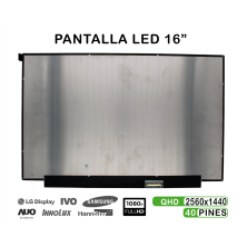 PANTALLA LDC LED DE 16,1" QHD HP VICTUS NE161QHM-NY1 40 PIN