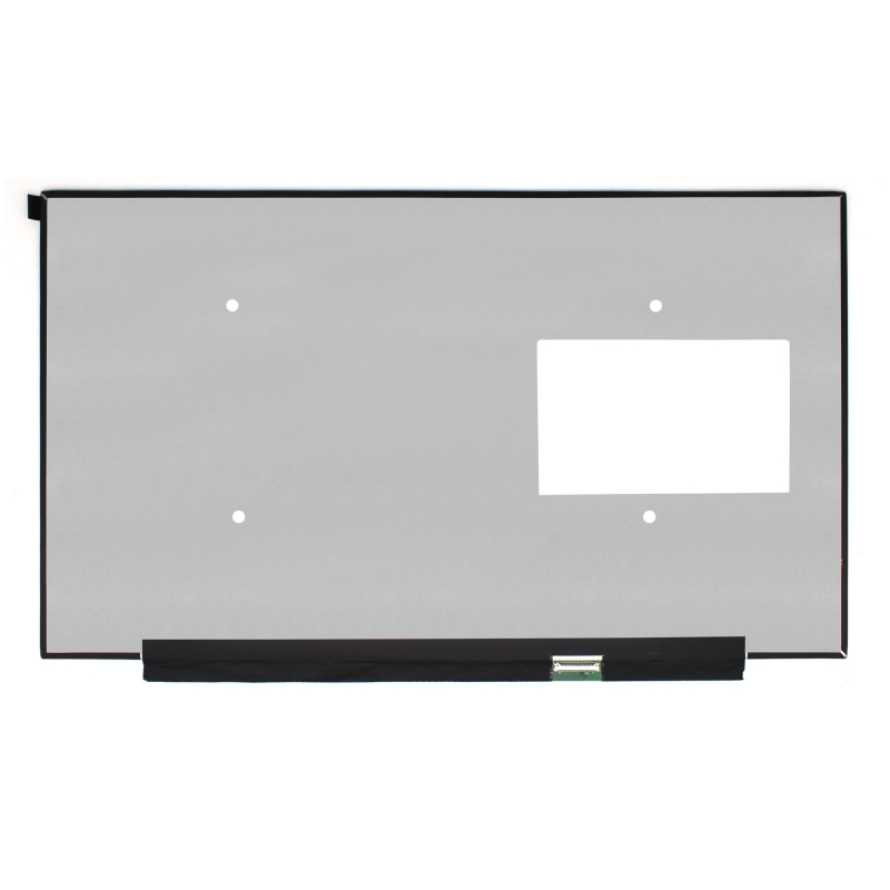 Schermo LED portatile da 17,3" NE173FHM-NZ6 ristrutturato 40 pin